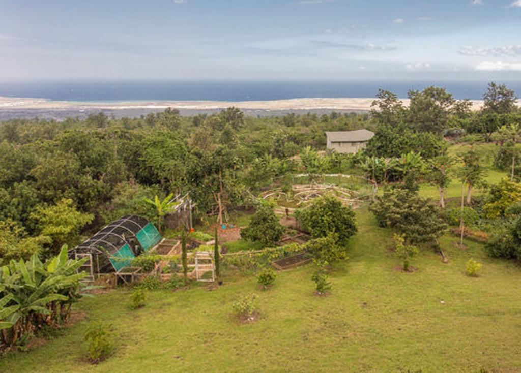 Banyan Tree Sanctuary Guest House Kalaoa Eksteriør billede